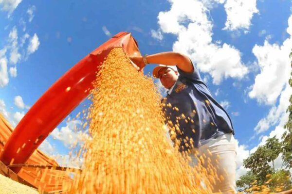 Safra 2025/26 pode atingir 353,4 milhões de toneladas e estabelecer novo recorde no Brasil