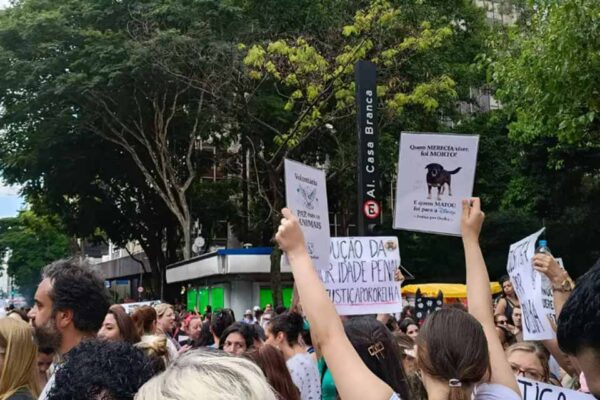 Manifestação na Paulista cobra punição por morte do cão Orelha e reacende debate sobre responsabilização de adolescentess