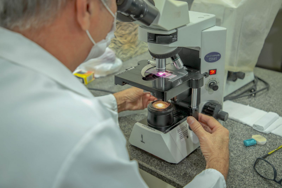 <div style="
                font-size: 18px;
                font-weight: bold;
                color: #0073aa;
                margin-bottom: 5px;
                text-transform: uppercase;
            ">CUIDADO</div>Porto Velho mantém vigilância ativa da Mpox e confirma quatro casos sob monitoramento