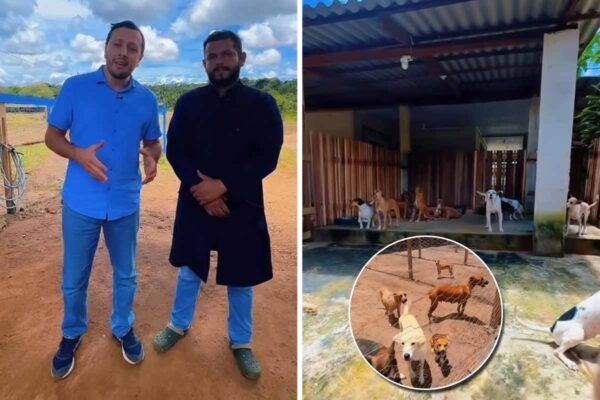 Prefeito Flori Cordeiro apresenta novo Canil Municipal de Vilhena com estrutura voltada ao acolhimento e adoção de animais