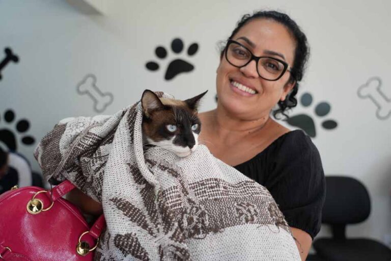 Centro de Bem-Estar Animal de Porto Velho mantém atendimento 24h e amplia cuidado com gatos
