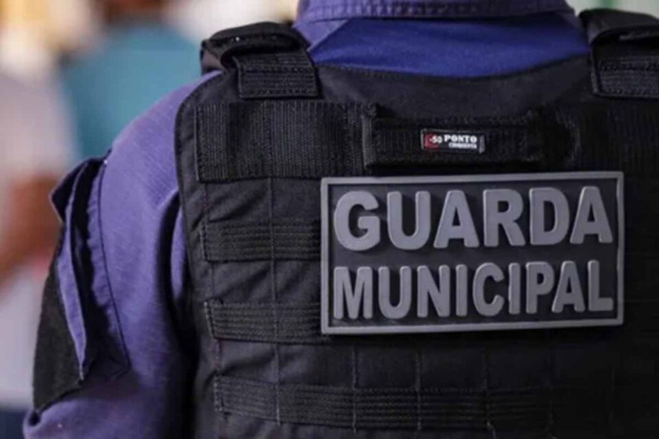 <div style="
                font-size: 18px;
                font-weight: bold;
                color: #0073aa;
                margin-bottom: 5px;
                text-transform: uppercase;
            ">SE PREPARE</div>Prefeitura de Porto Velho define IDECON como banca do concurso da Guarda Municipal