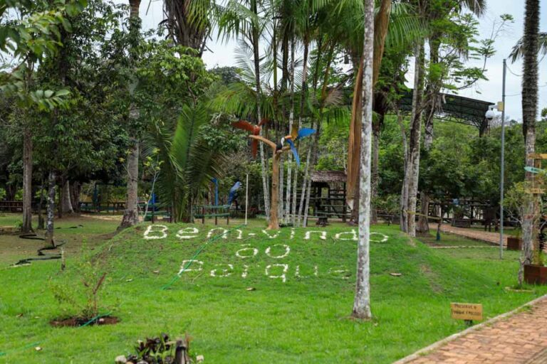 Piquenique “Raízes” integra programação da Prefeitura de Porto Velho no Mês Internacional da Mulher