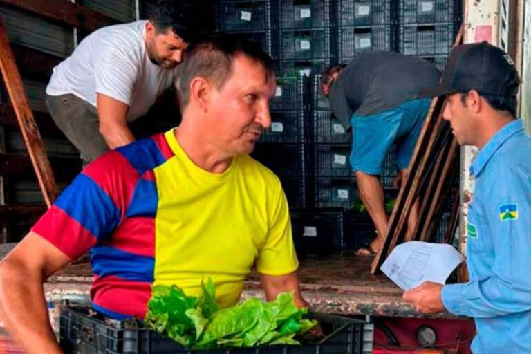 Governo de Rondônia amplia área cafeeira com distribuição de 115 mil mudas de café clonal em 2026