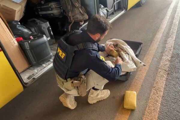 Homem é preso após PRF apreender 20,75 kg de skunk em ônibus na BR-364, em Vilhena