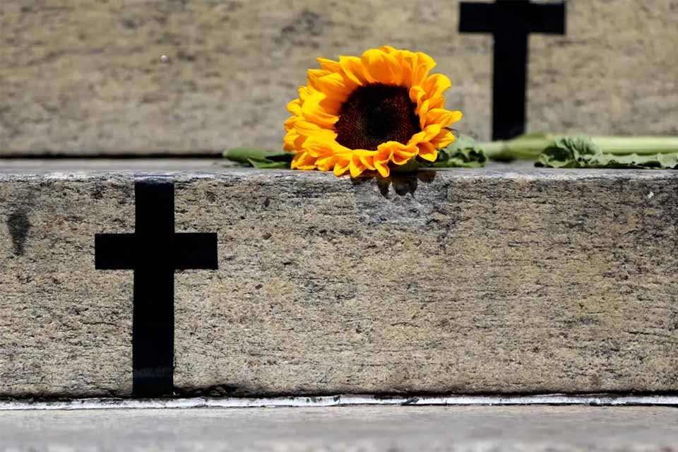 <div style="
                font-size: 18px;
                font-weight: bold;
                color: #0073aa;
                margin-bottom: 5px;
                text-transform: uppercase;
            ">VIOLÊNCIA SEM FIM</div>Violência vicária volta ao centro do debate após tragédia em Itumbiara e expõe padrão de agressões contra mulheres por meio dos filhos