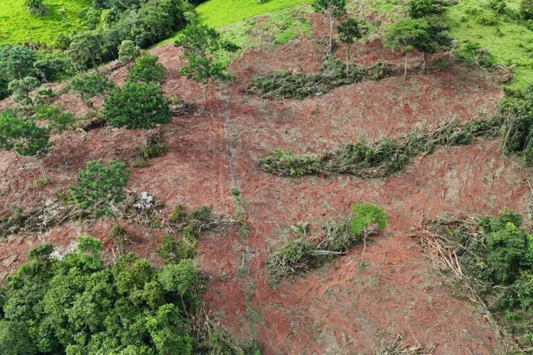 Polícia Militar Ambiental apreende escavadeira após flagrar desmatamento ilegal em Santa Luzia d’Oeste