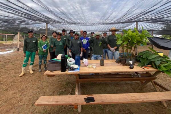 Projeto Fomenta Cacau prevê produção de 94 mil mudas para fortalecer agricultura familiar