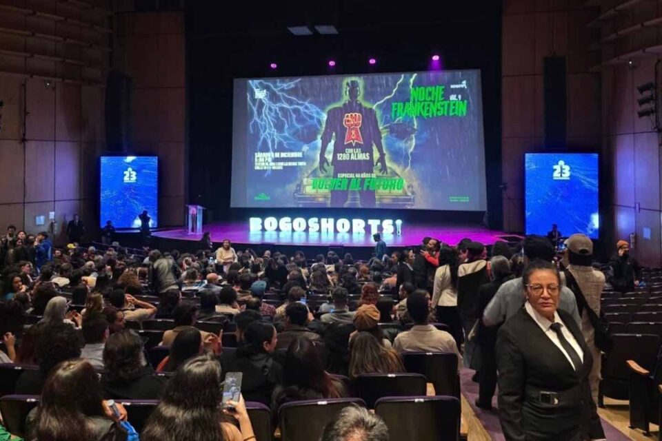 <div style="
                font-size: 18px;
                font-weight: bold;
                color: #0073aa;
                margin-bottom: 5px;
                text-transform: uppercase;
            ">CINEMA</div>Curta “Planeta Fome”, produzido em Porto Velho, integra festival internacional de cinema e direitos humanos na França