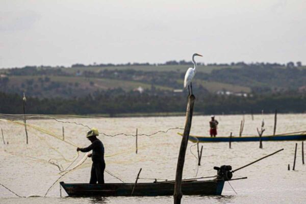 Seguro-defeso paga sexto lote a mais de 110 mil pescadores nesta terça-feira