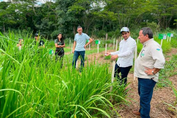 Programa Consultec-Leite amplia produtividade da pecuária leiteira e fortalece agricultura familiar em Rondônia