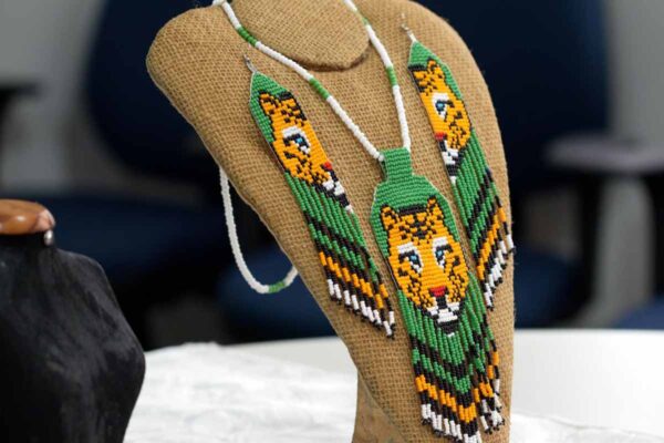 Prefeitura de Porto Velho abre credenciamento para artistas atuarem em eventos culturais de 2026