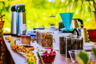 Rondônia abre credenciamento para fornecimento de Café Robusta Amazônico à Sefin