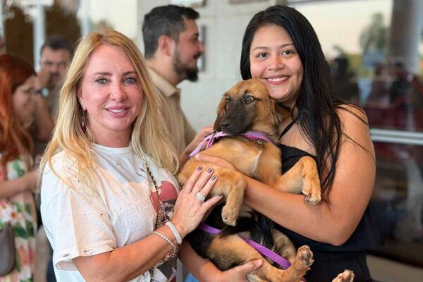 Feira de adoção em Porto Velho garante 97 lares para animais e tem apoio da deputada Ieda Chaves