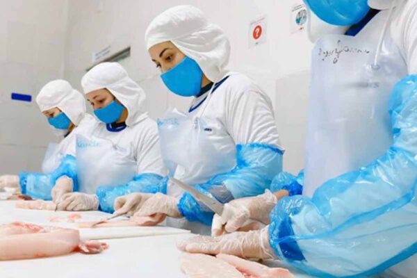 Sine-RO disponibiliza 2.410 vagas de emprego em Rondônia; auxiliar de produção e vendedor lideram ofertas