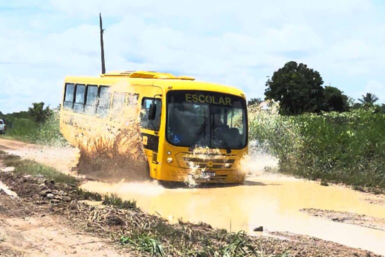 TCE-RO cobra Prefeitura de Porto Velho e monitora recuperação da Linha Caracol em Jaci-Paraná
