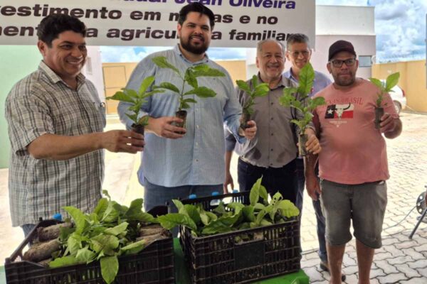 Programa Plante Mais 2026 distribui 549 mil mudas de café clonal na Zona da Mata com emenda de Jean Oliveira