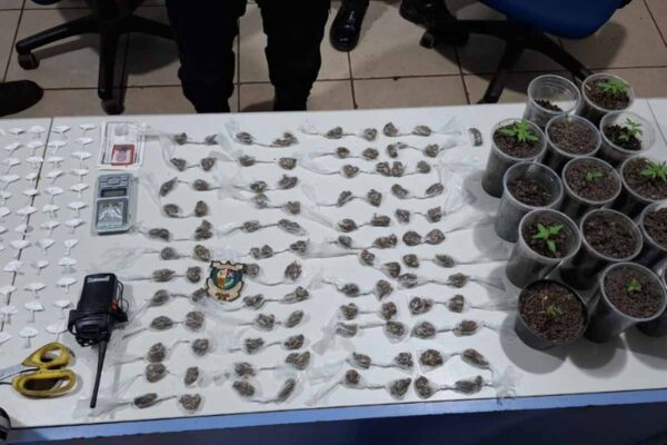 Polícia Militar apreende drogas e desmonta cultivo de maconha em apartamento no Orgulho do Madeira, em Porto Velho