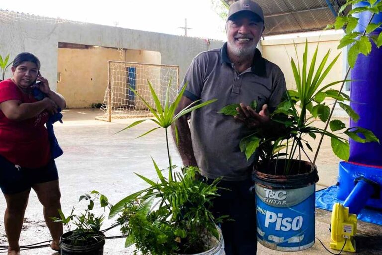 Sema distribui 1.300 mudas durante Cidadania no Bairro na Zona Leste de Porto Velho
