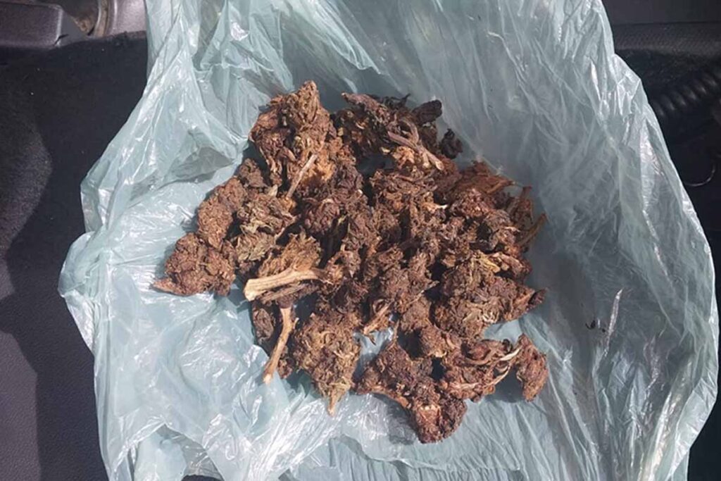 Suspeito é preso com drogas e celular furtado durante ação da PM em Ouro Preto do Oeste