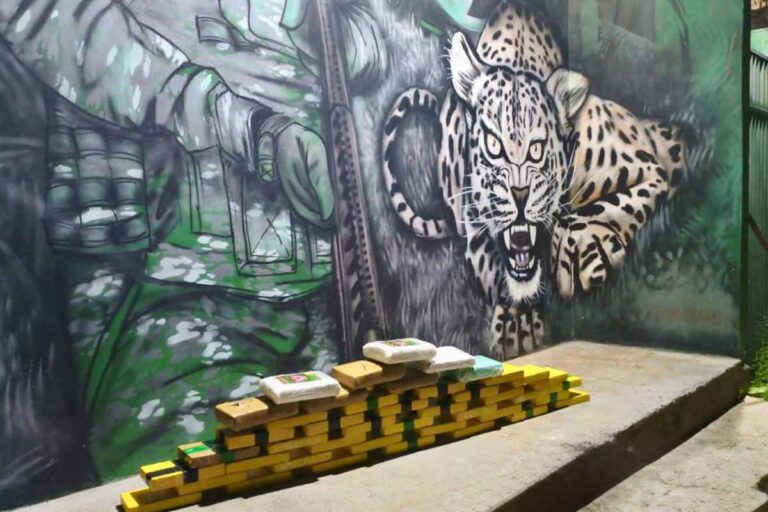 Operação na BR-425 apreende cerca de 50 quilos de drogas na zona rural de Nova Mamoré