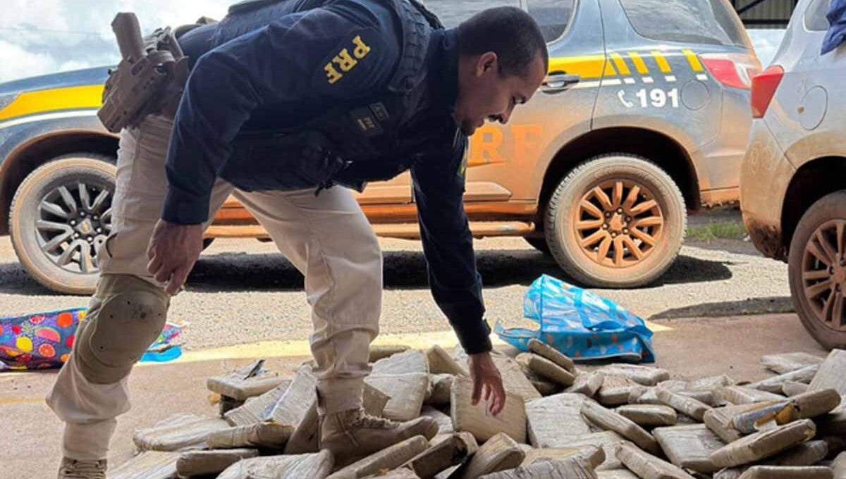 PRF apreende 167,8 kg de skunk na BR-174 em Vilhena e prende casal