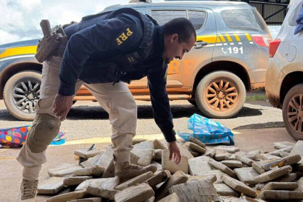 PRF apreende 167,8 kg de skunk na BR-174 em Vilhena e prende casal