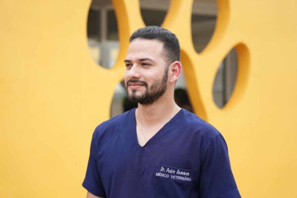 Clínica Bem-Estar Animal de Porto Velho oferece atendimento gratuito e cirurgias veterinárias; veja como funciona