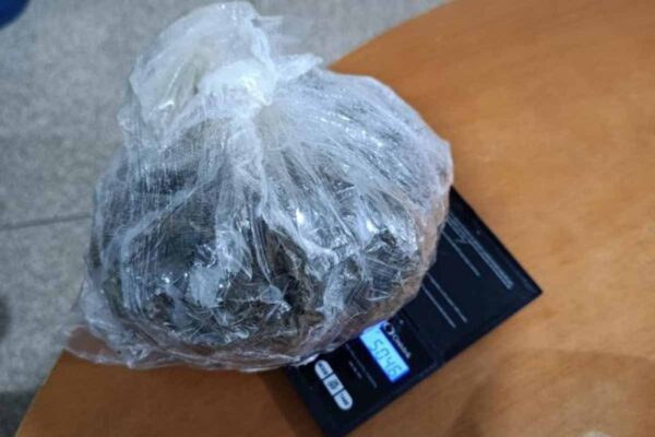 Polícia Militar apreende cerca de 500 g de maconha e motocicleta após ação da Força Tática em Cujubim