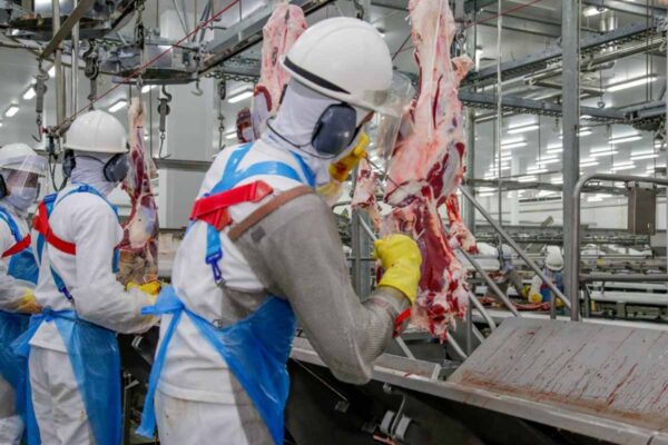 Rondônia registra 2,3 mil vagas de emprego abertas e amplia oportunidades em diversos setores