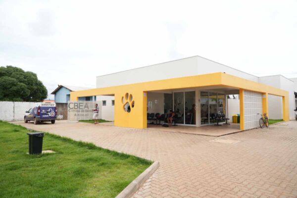 Clínica Bem-Estar Animal em Porto Velho oferece atendimento gratuito com consultas, exames e cirurgias