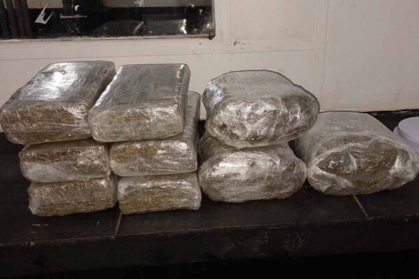 Passageiro é preso com cerca de 9 kg de drogas ao tentar embarcar em ônibus para Porto Velho em Guajará-Mirim