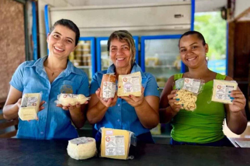 <div style="
                font-size: 18px;
                font-weight: bold;
                color: #0073aa;
                margin-bottom: 5px;
                text-transform: uppercase;
            ">COMEMORAÇÃO</div>Mulheres impulsionam agroindústria e produção rural em Rondônia, destaca governo estadual no Dia da Mulher