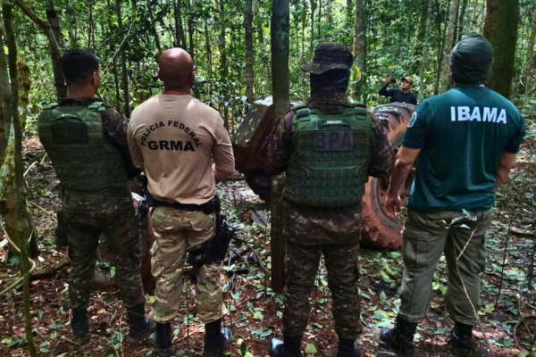 Operação conjunta identifica extração ilegal de madeira em Terra Indígena Tubarão Latundê, em Chupinguaia