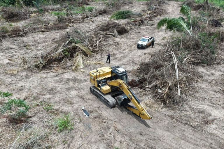 Polícia Ambiental apreende escavadeira e embarga área após flagrar desmatamento ilegal em São Miguel do Guaporé
