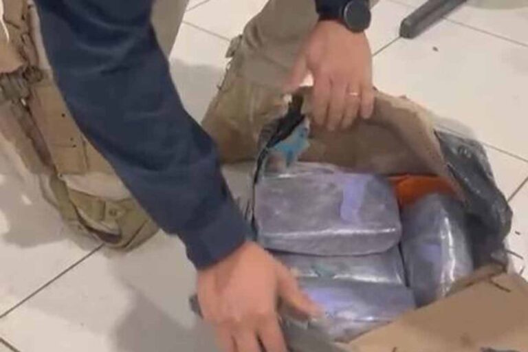 PRF apreende 10,4 kg de cocaína escondidos em encomenda transportada por ônibus na BR-364 em Vilhena