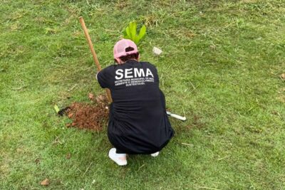 Plantio de 210 mudas nativas e frutíferas reforça arborização no residencial Morar Melhor em Porto Velho