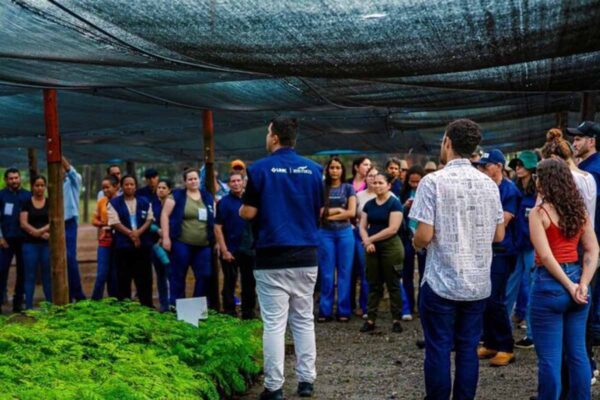 Capacitação sobre produção de mudas e sementes florestais reúne técnicos e estudantes em Rolim de Moura