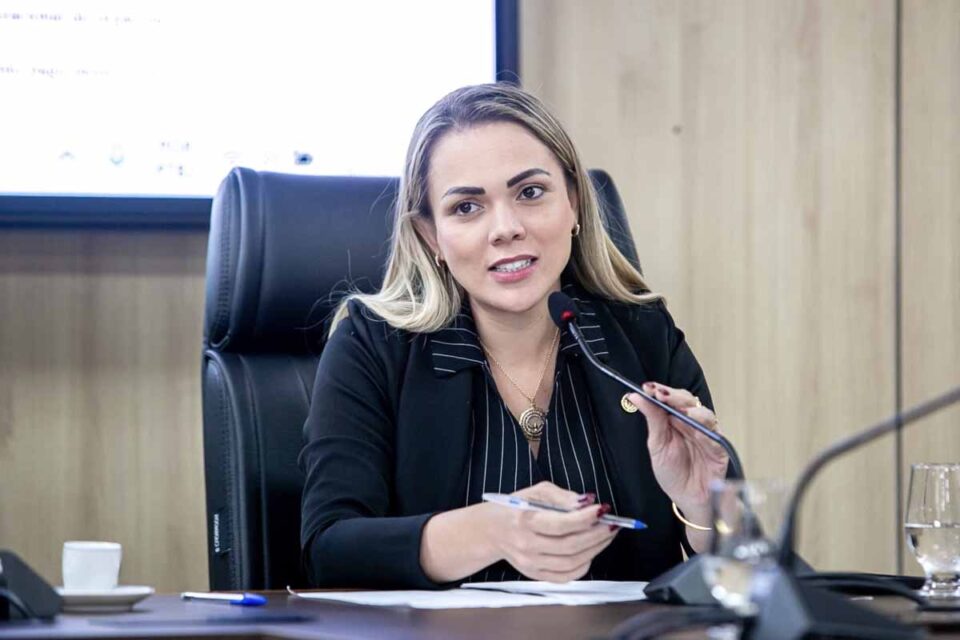 <div style="
                font-size: 18px;
                font-weight: bold;
                color: #0073aa;
                margin-bottom: 5px;
                text-transform: uppercase;
            ">INFRAESTRUTURA</div>Deputada Cláudia de Jesus cobra recuperação urgente da RO-464 entre BR-364 e Tarilândia em Jaru