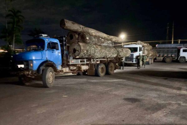 Mais de 47 m³ de madeira ilegal são apreendidos pela Polícia Militar em operação na zona rural de Porto Velho