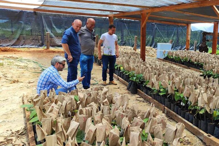 Ezequiel Neiva destina R$ 500 mil para secadores de café e beneficia produtores em Nova Califórnia