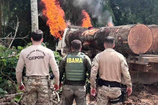 Operação Três Eixos apreende caminhões com madeira ilegal em terra indígena de Rondônia
