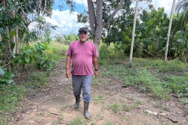 Programa Porteira Adentro amplia mecanização e impulsiona renda de agricultores em Porto Velho