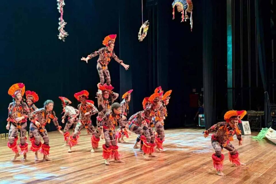 <div style="
                font-size: 18px;
                font-weight: bold;
                color: #0073aa;
                margin-bottom: 5px;
                text-transform: uppercase;
            ">DIVERSIDADE CULTURAL</div>Mostra Estudantil Indígena reúne alunos em Porto Velho com apresentações culturais e educativas