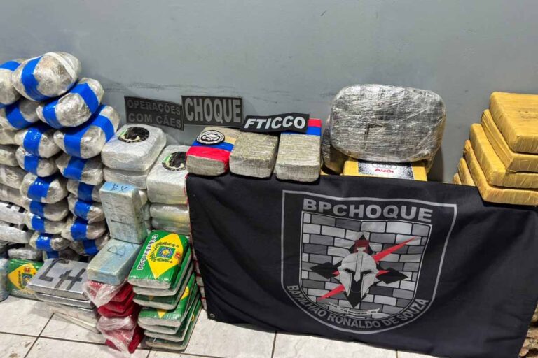 Polícia apreende cerca de 500 kg de drogas em operação na BR-364 em Porto Velho