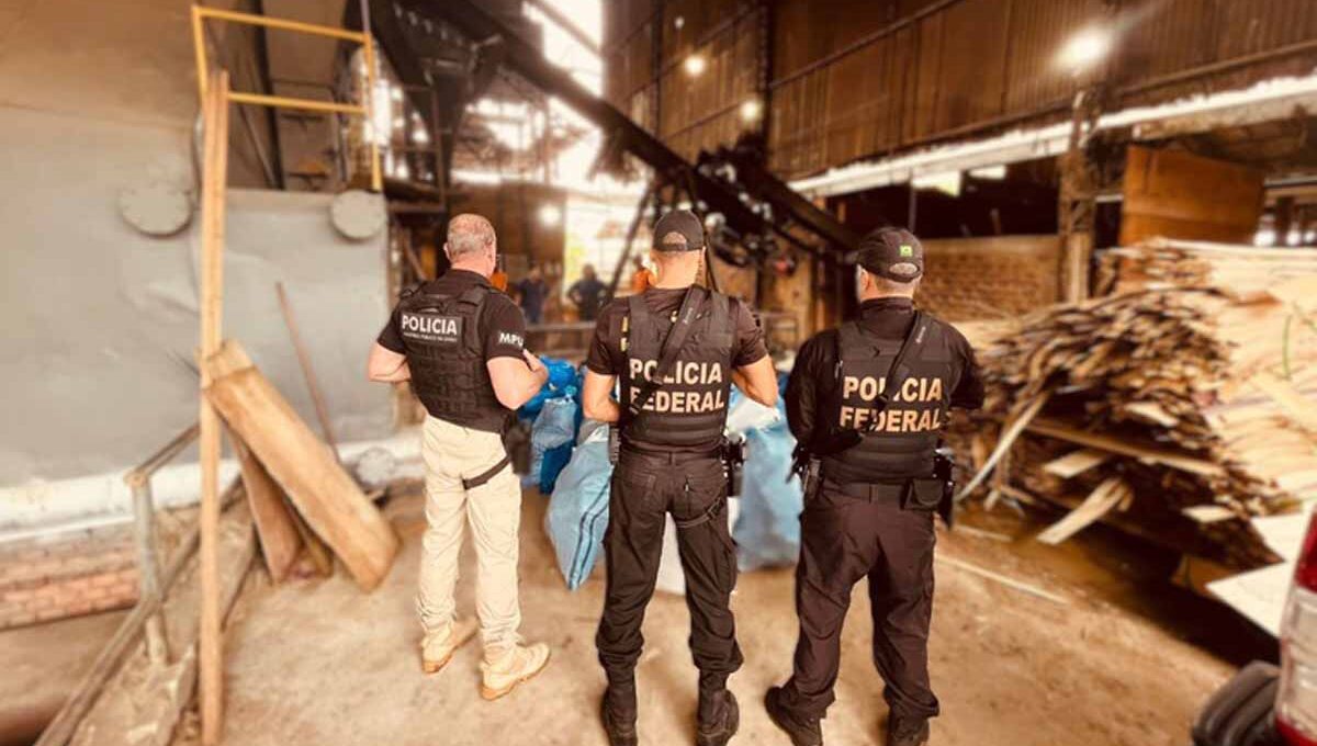 Polícia Federal incinera 710 kg de drogas em Ji-Paraná após operações em Rondônia