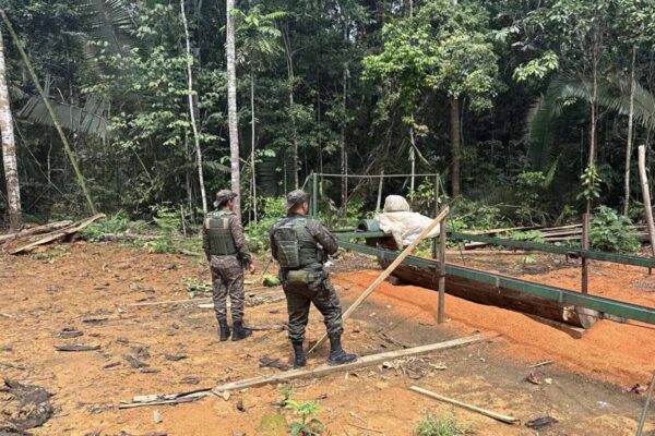 Polícia Ambiental desativa serraria clandestina e apreende madeira ilegal em Candeias do Jamari