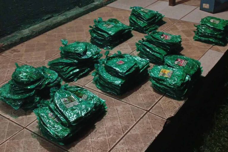 PMRO e Exército apreendem mais de 9 kg de folhas de coca e prendem suspeito em Guajará-Mirim