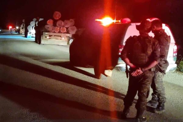 Operação Hileia interrompe extração ilegal de madeira e apreende veículos em Candeias do Jamari