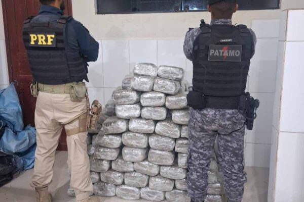 Mais de 180 kg de skunk são apreendidos em Cacoal após ação integrada entre PRF e PMRO
